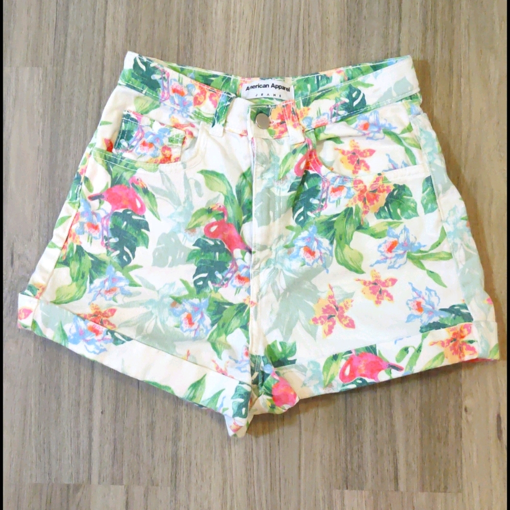 American Apparel jean shorts 26/27